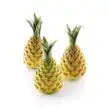 28.312.87.0065_FORESTA___ANANAS_110_FINITO_1-2.jpg