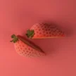 36.281.87.0065_FRAGOLA_30_EXTRA_2_1.webp