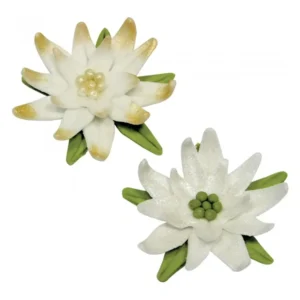 3lu yildiz kopat1.webp