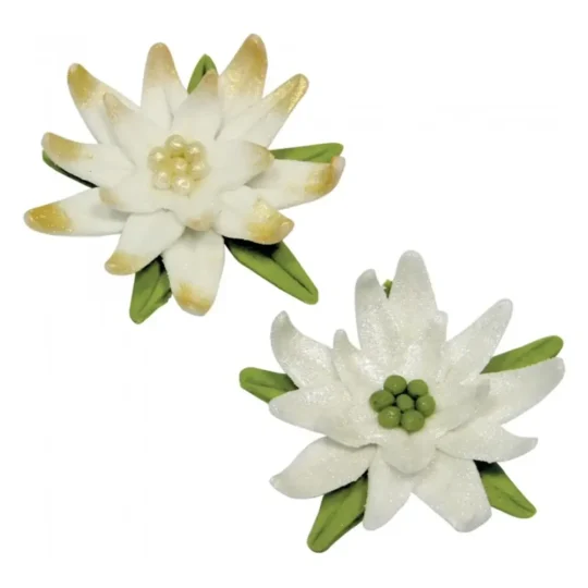 3lu-yildiz-kopat1.webp 3lu-yildiz-kopat1.webp