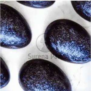 Çikolata Kalıbı Surenapart Pcc014