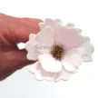FVC11-02-600x600-1-2.webp