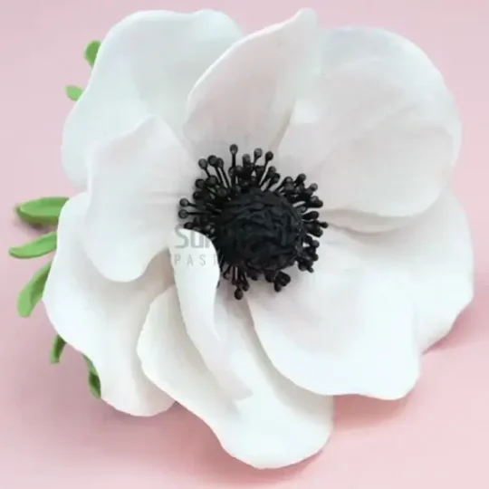 FVC14-02-600x600-1-2.webp