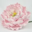 FVC16-02-600x600-1-2.webp