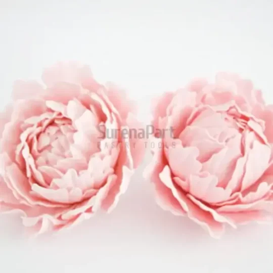 FVC16-3-02-600x600-1-2.webp