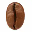 Paragraf metniniz (14)