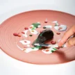 Pavoni-GG055S-Melanzana2.webp