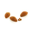 Silikomart-Cacao-Xs-12-4.webp