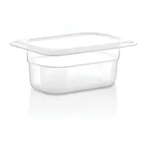 Polikarbon Gastronom Küvet Şeffaf 1/9 65 0.5 Litre