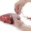 lacor-spin-ignesi.jpg